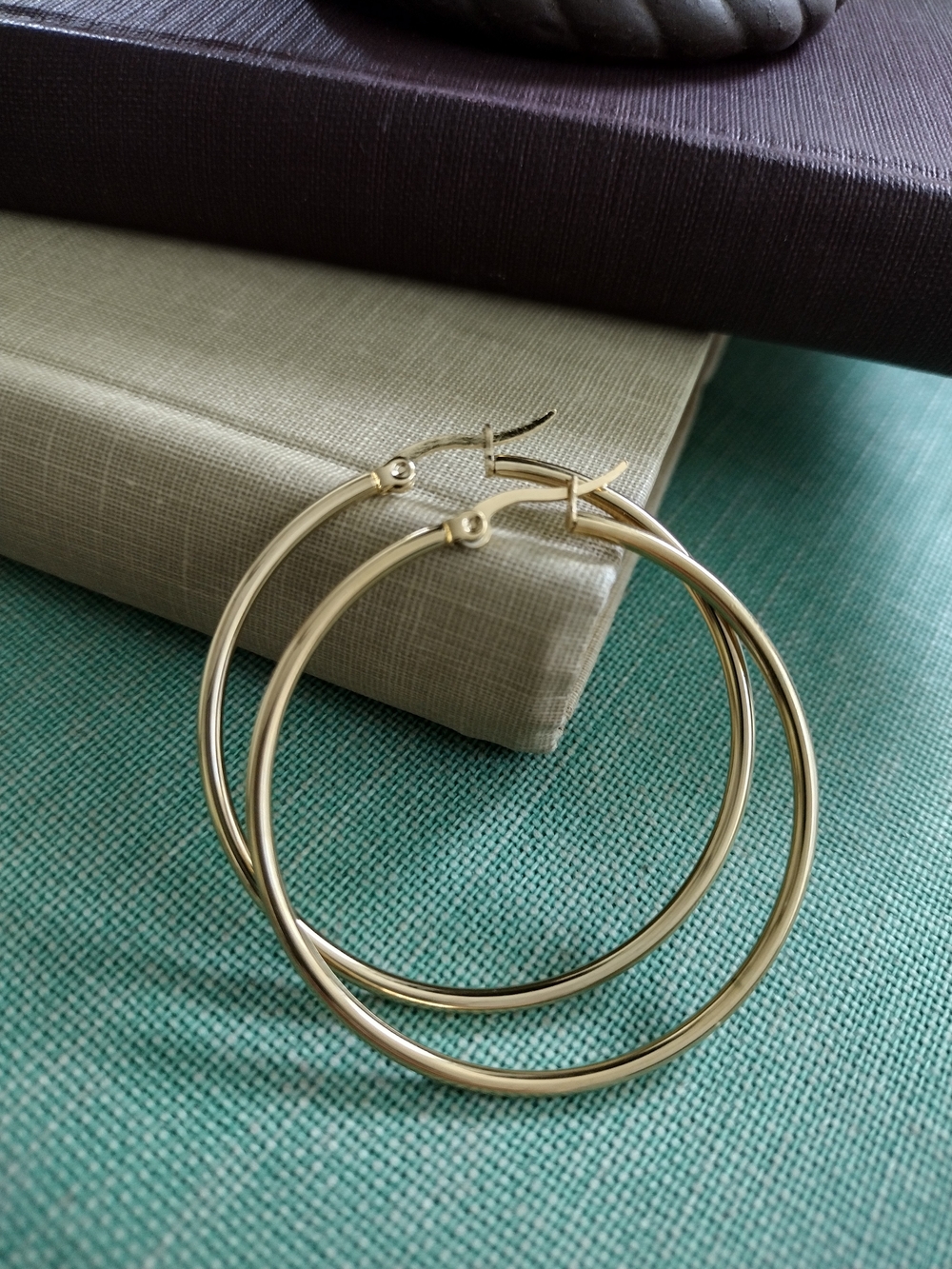 Anthropologie Double Hoop Earrings